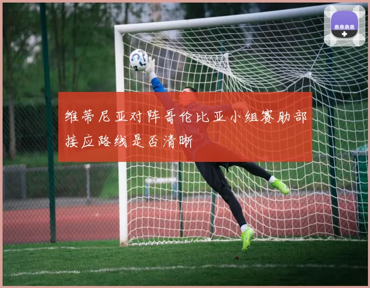 维蒂尼亚对阵哥伦比亚小组赛肋部接应路线是否清晰