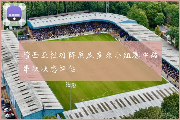 穆西亚拉对阵厄瓜多尔小组赛中路串联状态评估