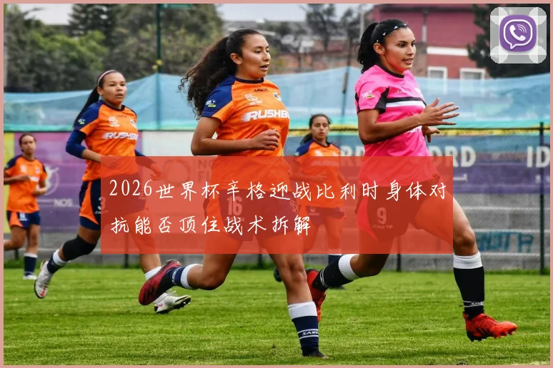2026世界杯辛格迎战比利时身体对抗能否顶住战术拆解